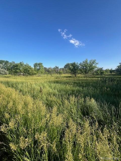 8523 Hygiene Rd, Longmont, CO 80503 - photo 2