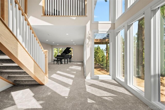 carpeted entrance foyer with plenty of natural light and a high ceiling