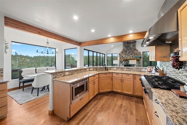 kitchen featuring a peninsula, light wood-type flooring, island exhaust hood, and appliances with stainless steel finishes