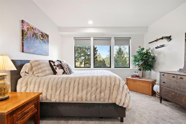 bedroom with carpet flooring