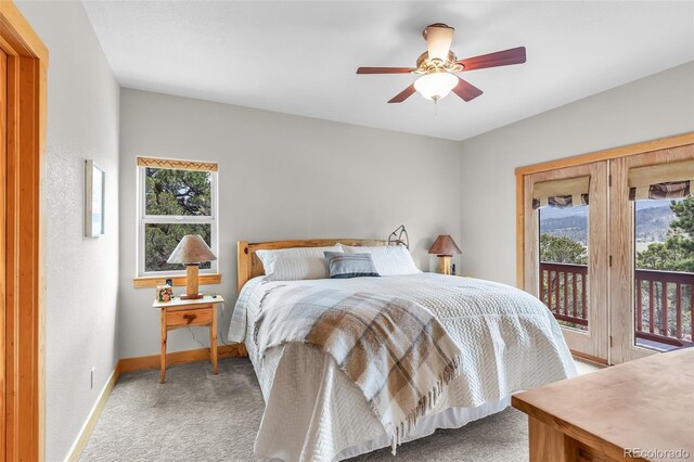 2274 Autumn Creek Dr, Canon City, CO 81212 - photo 20