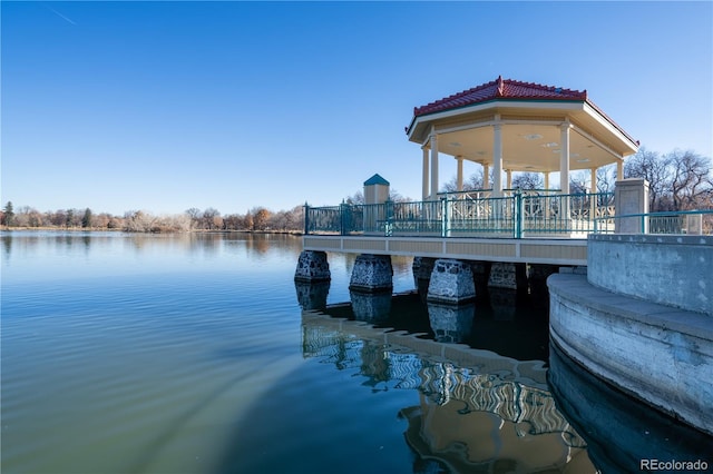 dock area with a water view