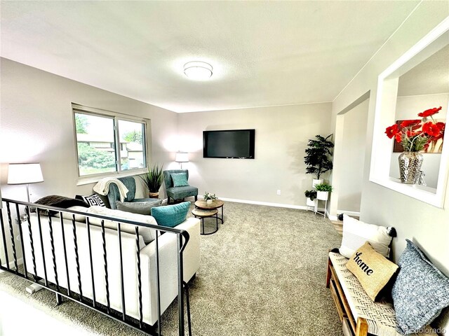 8820 Cody St, Broomfield, CO 80021 - carpeted living area with baseboards
