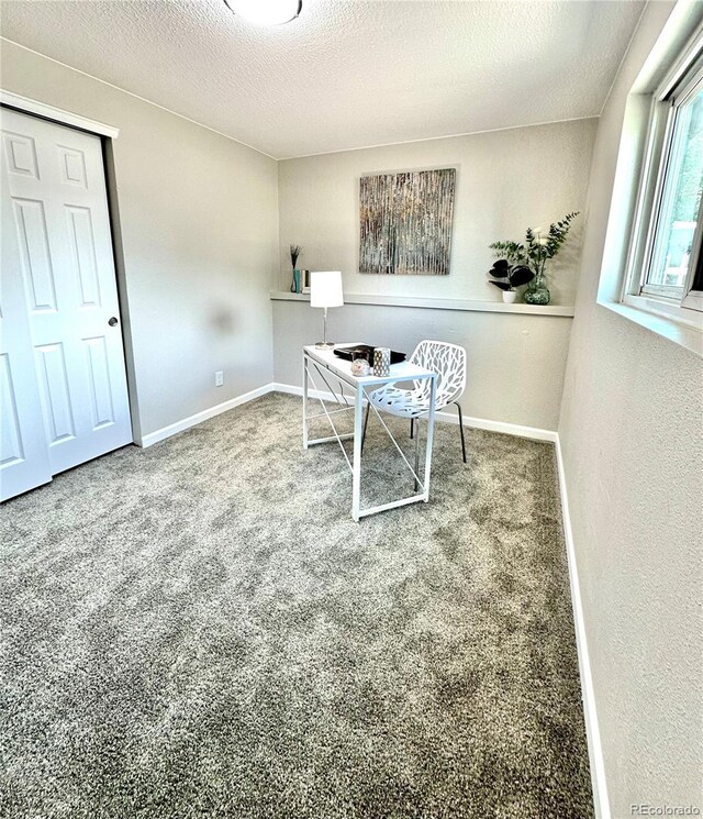 8820 Cody St, Broomfield, CO 80021 - carpeted home office with a textured ceiling and baseboards