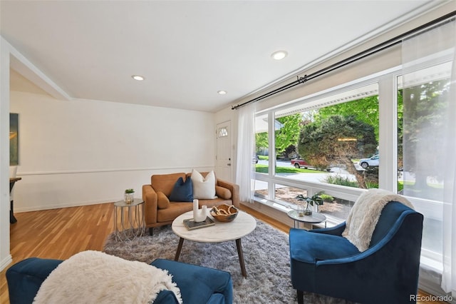 1370 S Hudson St, Denver, CO 80222 - living area with wood finished floors, recessed lighting, and baseboards
