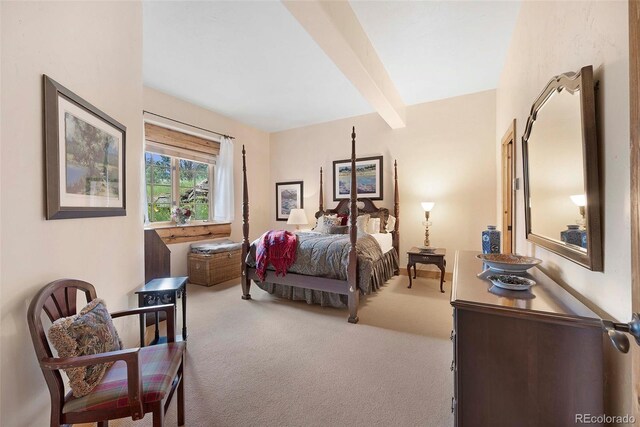 28267 Meadowlark Dr, Golden, CO 80401 - bedroom featuring carpet