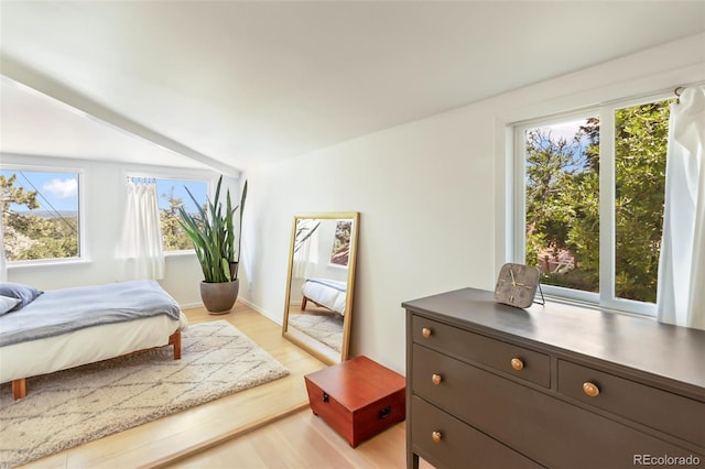 426 Corona Ave, Palmer Lake, CO 80133 - bedroom featuring multiple windows and light wood-style flooring