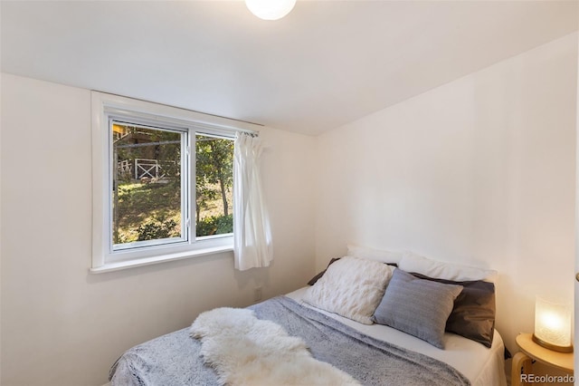 426 Corona Ave, Palmer Lake, CO 80133 - view of bedroom