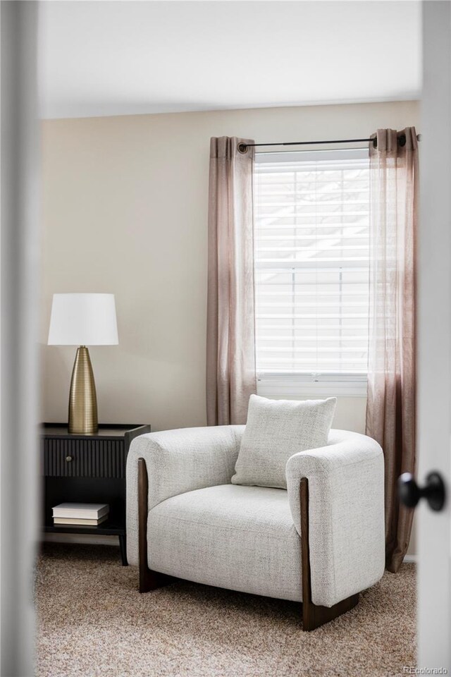 sitting room with carpet