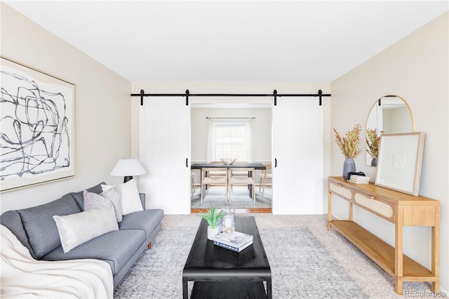 living room featuring a barn door