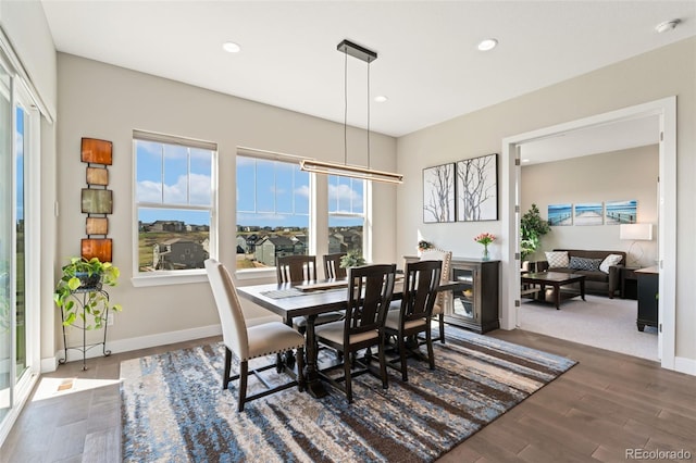 dining space with baseboards, wood finished floors, and a wealth of natural light