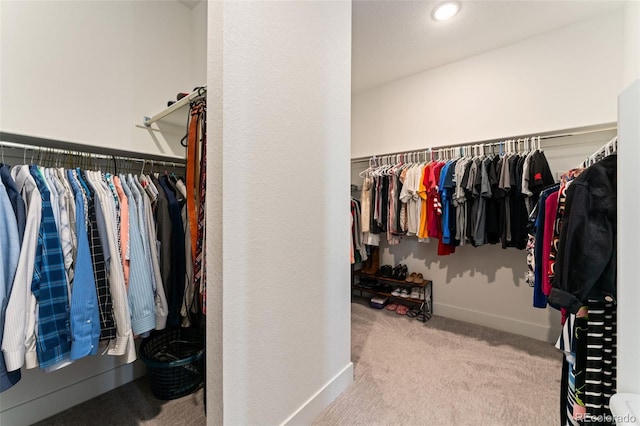 spacious closet featuring carpet