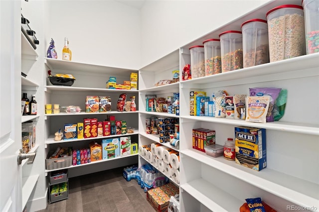 3128 Bivouac Pt, Castle Rock, CO 80108 - view of pantry