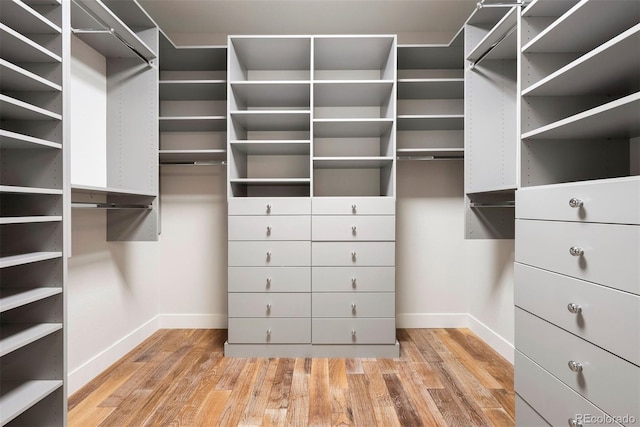 4142 Saltbrush Ct, Loveland, CO 80538 - spacious closet featuring light wood-style floors