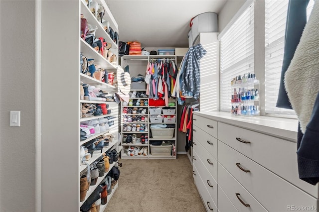 spacious closet with light colored carpet