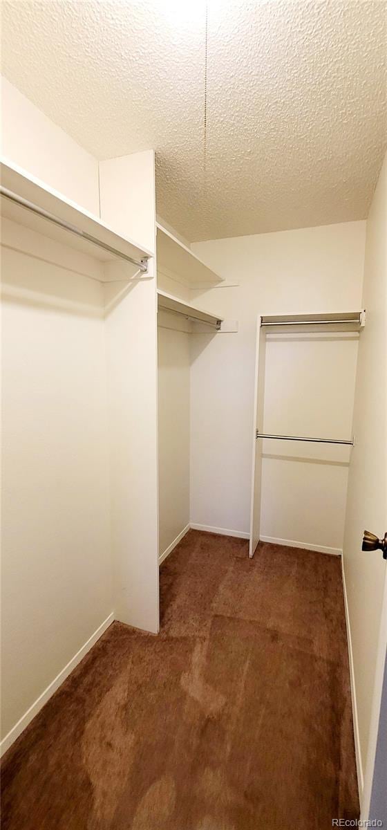 2355 E Geddes Ave Unit G24, Centennial, CO 80122 - walk in closet featuring carpet