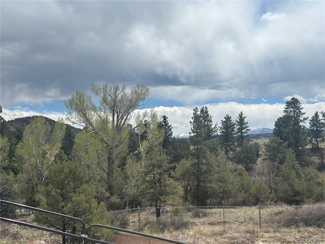 10795 County Road 197 A 282 & 283, Nathrop, CO 81236 - photo 37