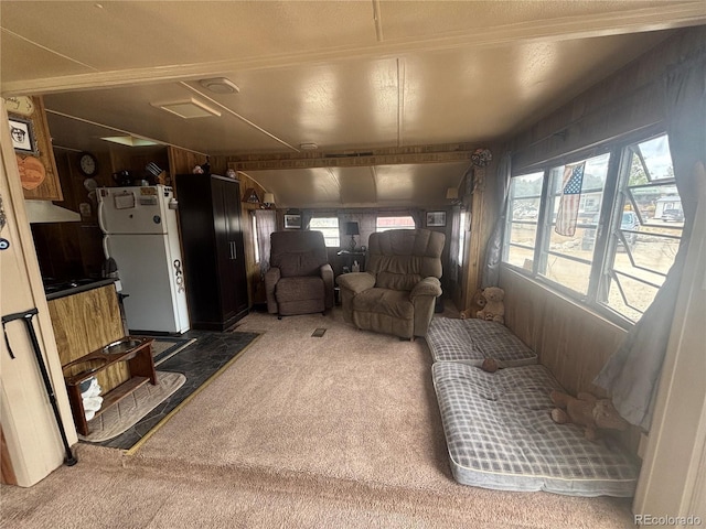 10795 County Road 197 A 282 & 283, Nathrop, CO 81236 - photo 7