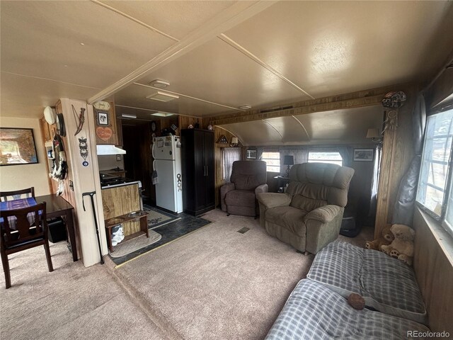10795 County Road 197 A 282 & 283, Nathrop, CO 81236 - photo 8