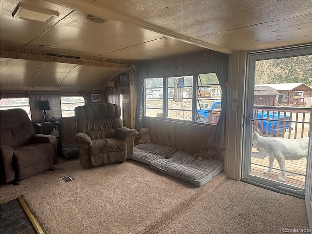 10795 County Road 197 A 282 & 283, Nathrop, CO 81236 - photo 9