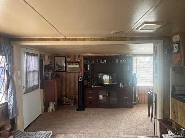 10795 County Road 197 A 282 & 283, Nathrop, CO 81236 - photo 10