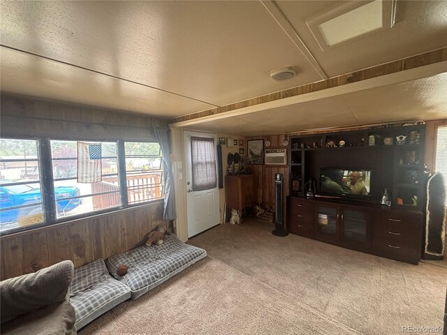 10795 County Road 197 A 282 & 283, Nathrop, CO 81236 - photo 11