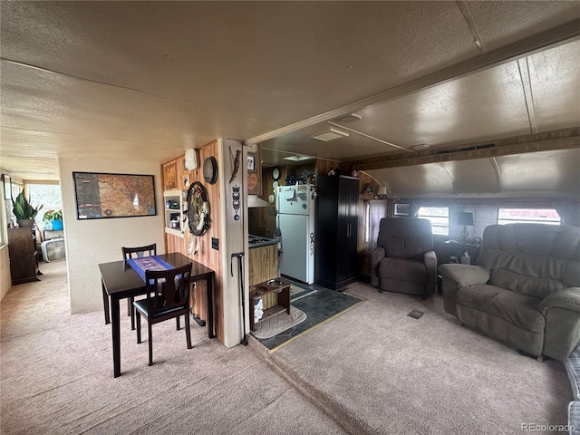 10795 County Road 197 A 282 & 283, Nathrop, CO 81236 - photo 14