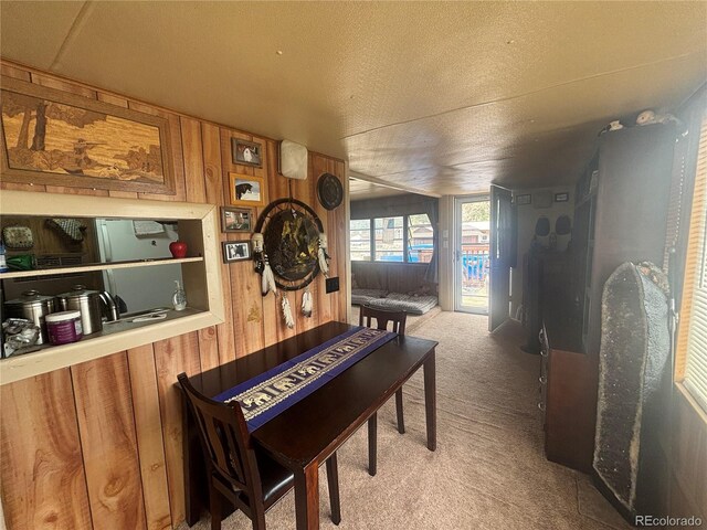 10795 County Road 197 A 282 & 283, Nathrop, CO 81236 - photo 15