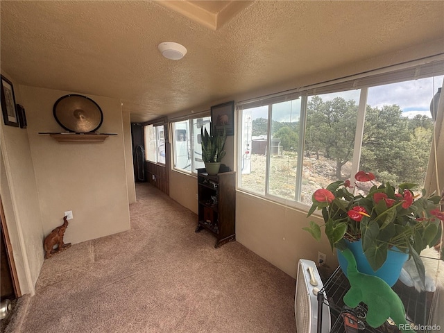 10795 County Road 197 A 282 & 283, Nathrop, CO 81236 - photo 16