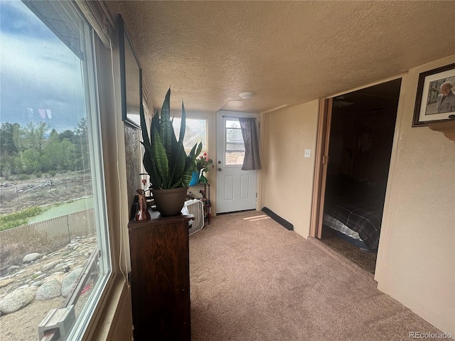 10795 County Road 197 A 282 & 283, Nathrop, CO 81236 - photo 21