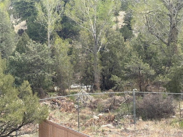 10795 County Road 197 A 282 & 283, Nathrop, CO 81236 - photo 25
