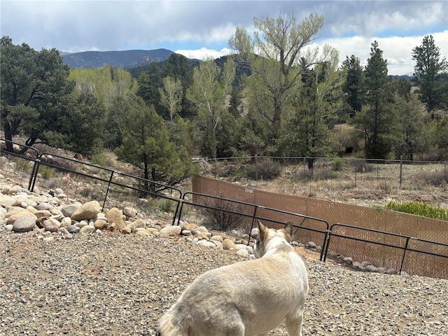 10795 County Road 197 A 282 & 283, Nathrop, CO 81236 - photo 26