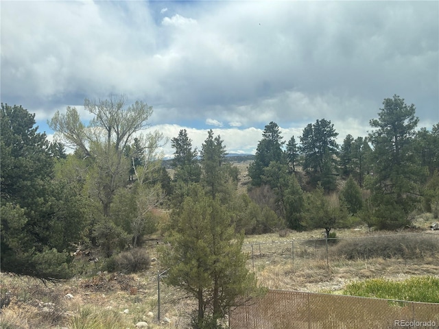 10795 County Road 197 A 282 & 283, Nathrop, CO 81236 - photo 28