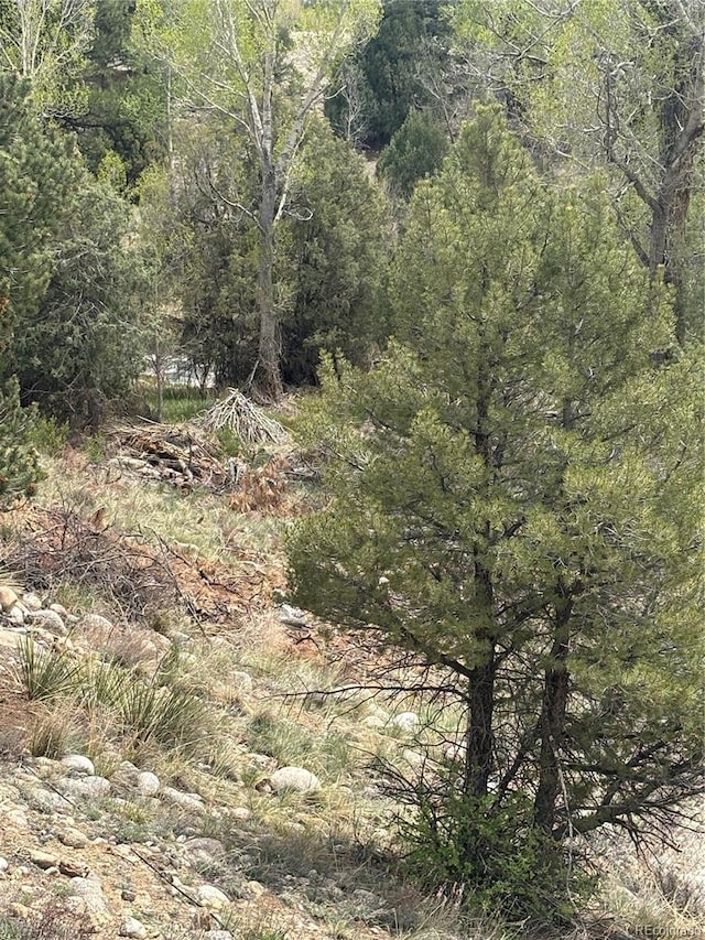 10795 County Road 197 A 282 & 283, Nathrop, CO 81236 - photo 29
