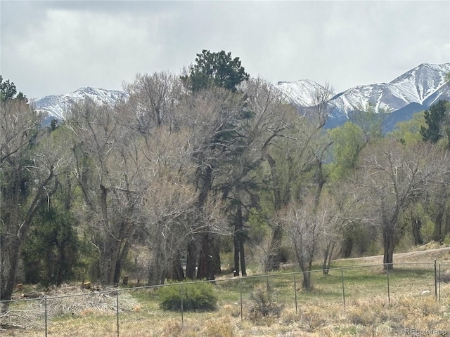 10795 County Road 197 A 282 & 283, Nathrop, CO 81236 - photo 30