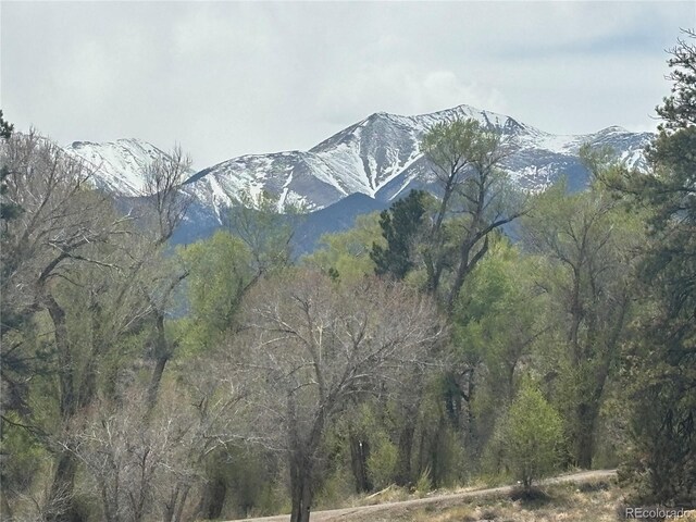 10795 County Road 197 A 282 & 283, Nathrop, CO 81236 - photo 31