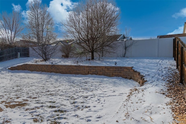 view of yard covered in snow