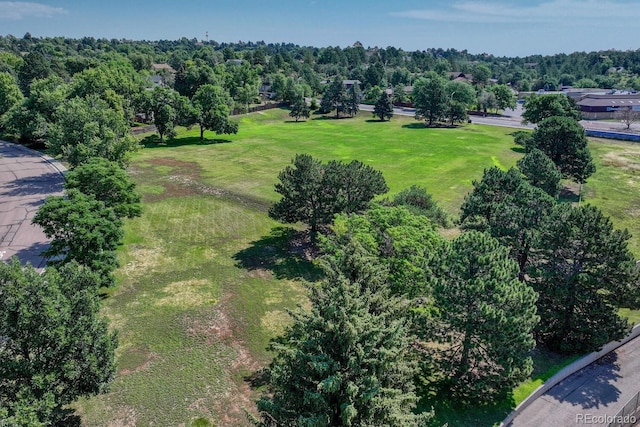 2042 Devon St, Colorado Springs, CO 80909 - photo 49
