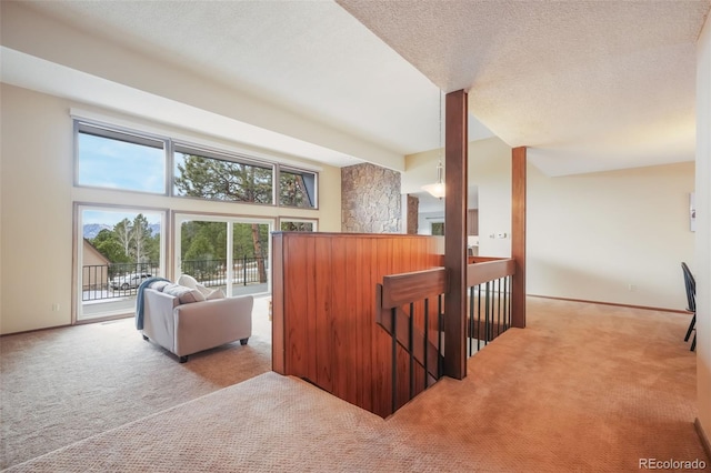 interior space featuring carpet and a textured ceiling