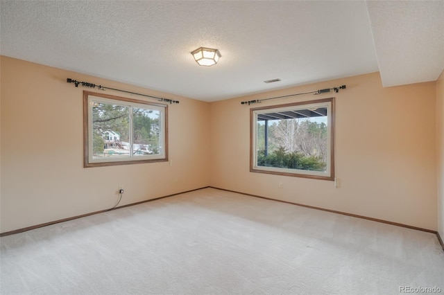 carpeted empty room with plenty of natural light and a textured ceiling