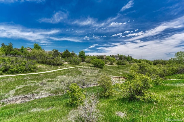 581 Stonemont Dr, Castle Pines, CO 80108 - view of yard