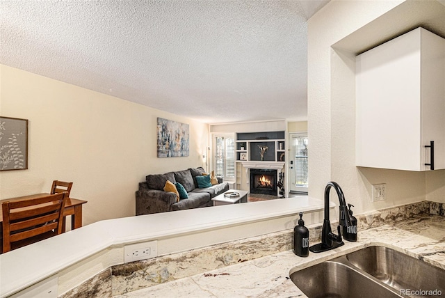 2 Acoma St Unit 11, Denver, CO 80223 - kitchen featuring a sink, a textured ceiling, a lit fireplace, white cabinets, and light stone countertops