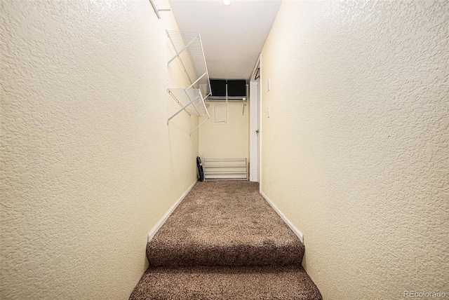 2 Acoma St Unit 11, Denver, CO 80223 - stairway with a textured wall, carpet, and baseboards