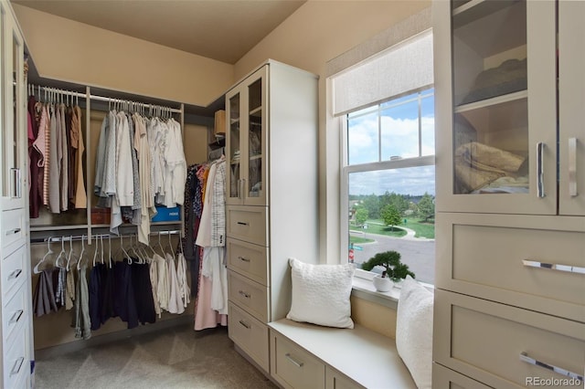 23451 E Rockinghorse Pkwy, Aurora, CO 80016 - spacious closet featuring carpet floors