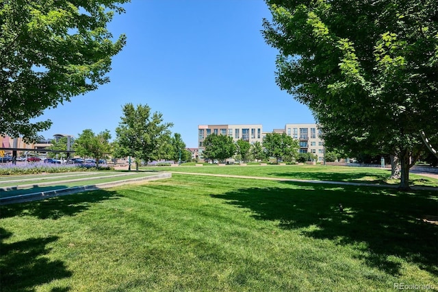 view of home's community with a yard