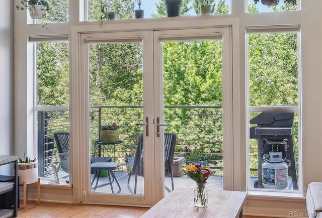 entryway with a wealth of natural light and wood-type flooring