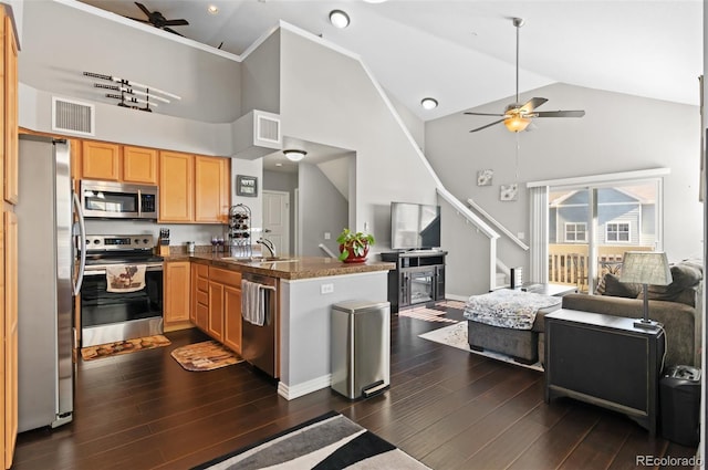 kitchen with dark hardwood / wood-style floors, kitchen peninsula, ceiling fan, and appliances with stainless steel finishes