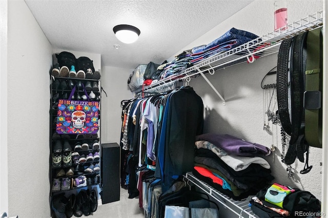 walk in closet featuring carpet