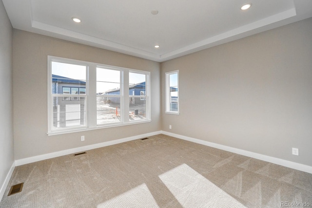 carpeted spare room featuring a raised ceiling