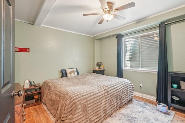 5261 E 130th Cir, Thornton, CO 80241 - photo 31